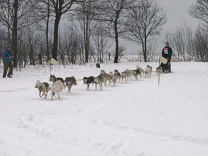 2003 schlittenhunde012.jpg